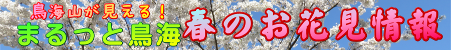 春のお花見情報