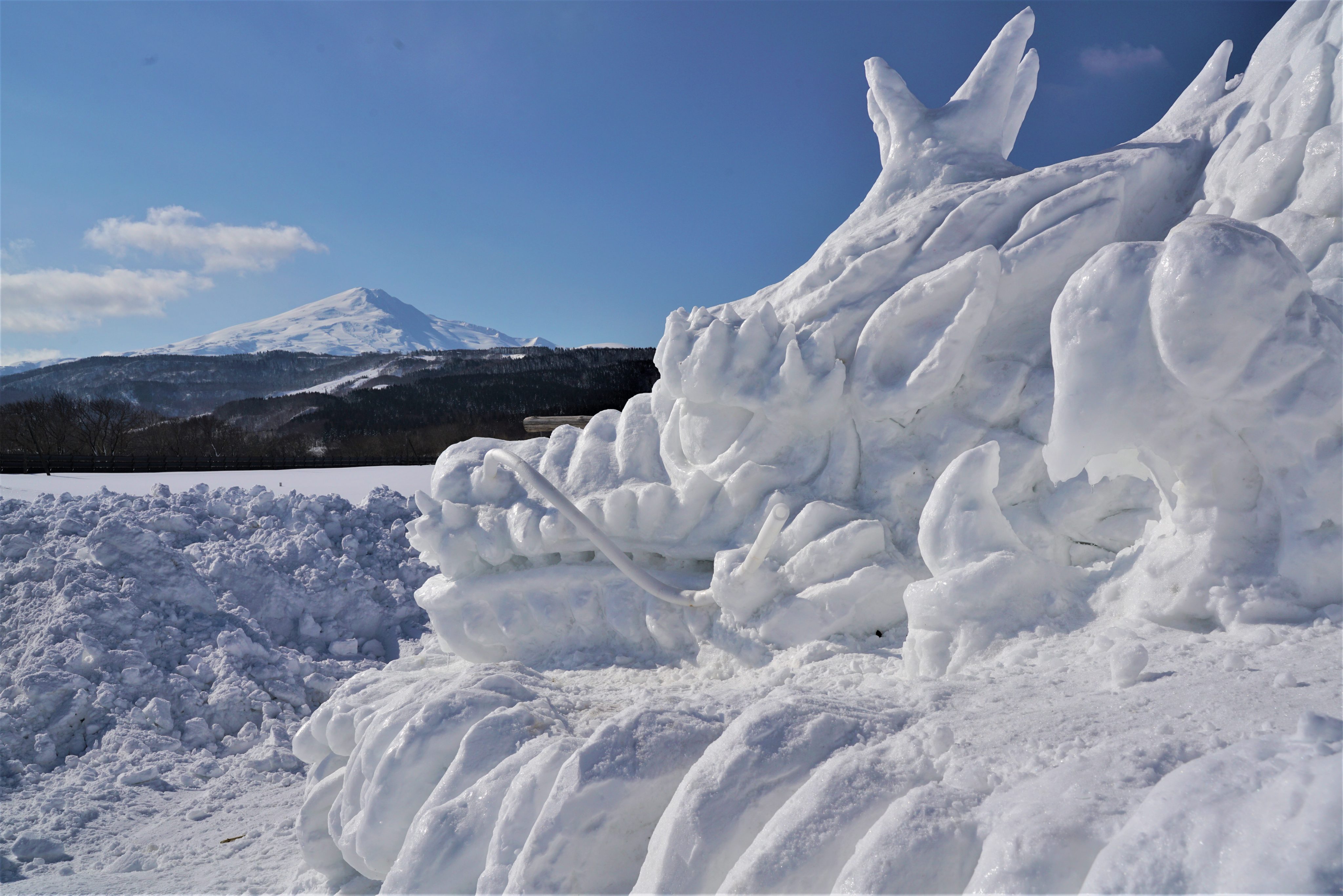 冬の鳥海山と雪の竜